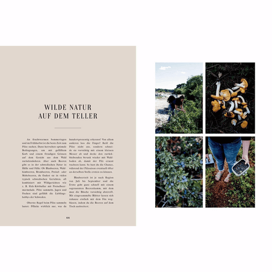 Ein Jahr in Schweden – Rezepte und Geschichten | Travelbook