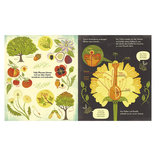 Das Wunder einer Blume - Warum Blumen und Pflanzen so wichtig sind Magellan Verlag