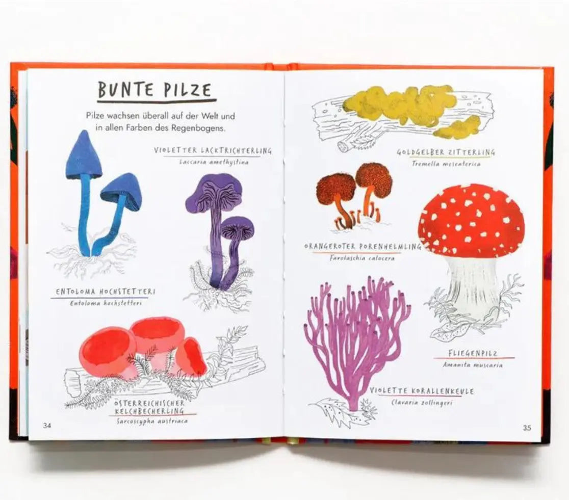 Hallo Pilze - Ein kleiner Naturführer Laurence King Verlag