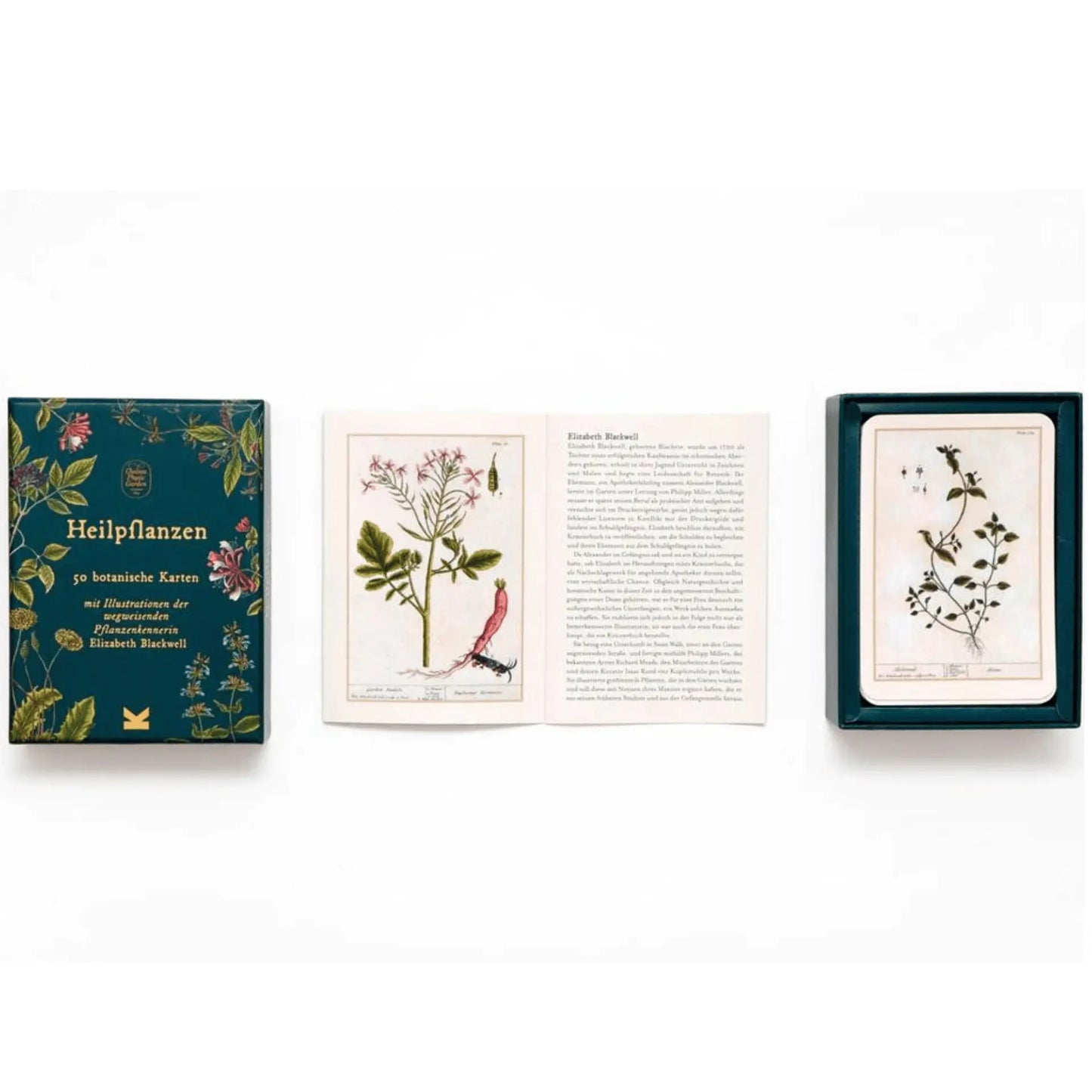 Heilpflanzen | 50 botanische Karten Laurence King Verlag