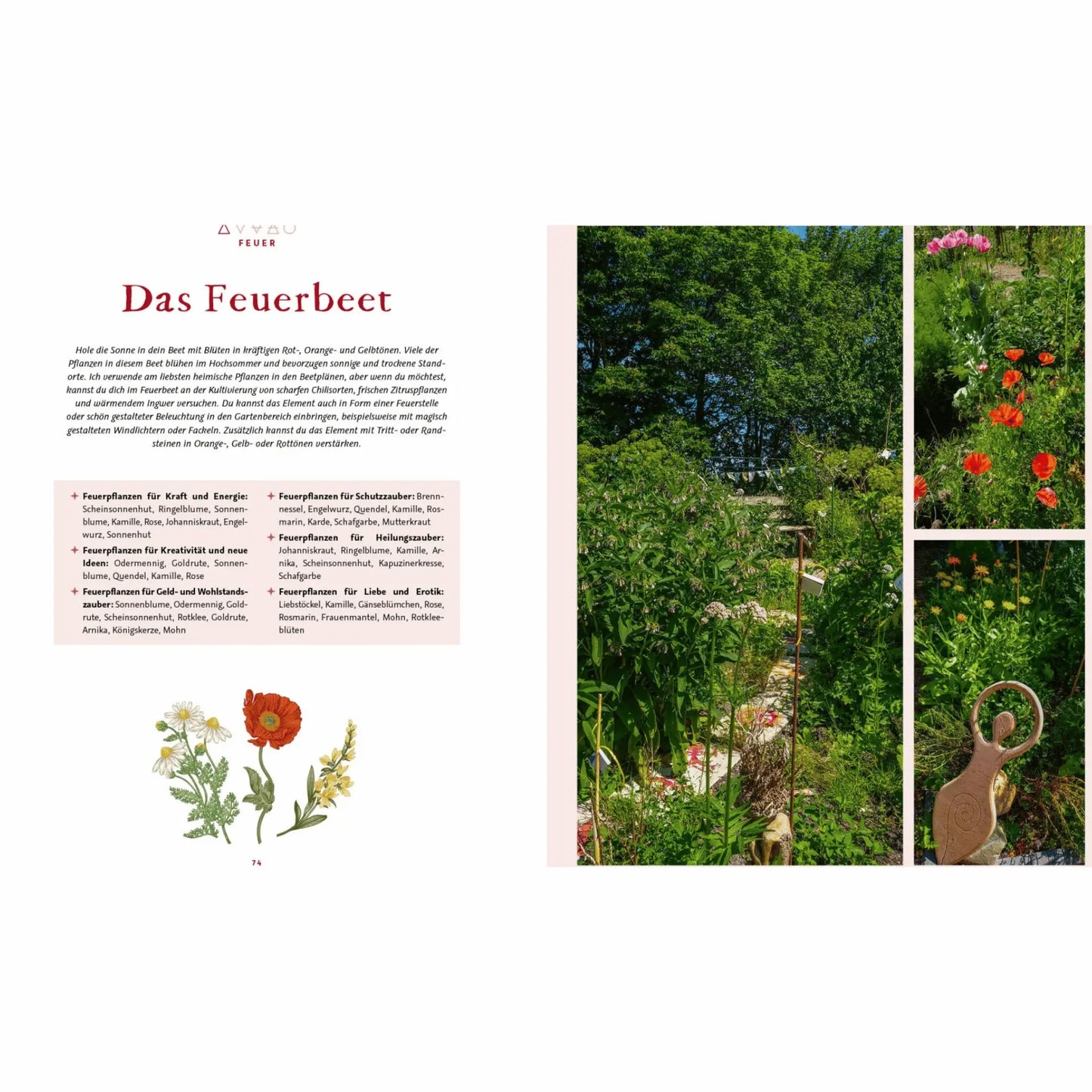 Magie im Hexengarten - Gärtnern mit grüner Magie EMF Verlag
