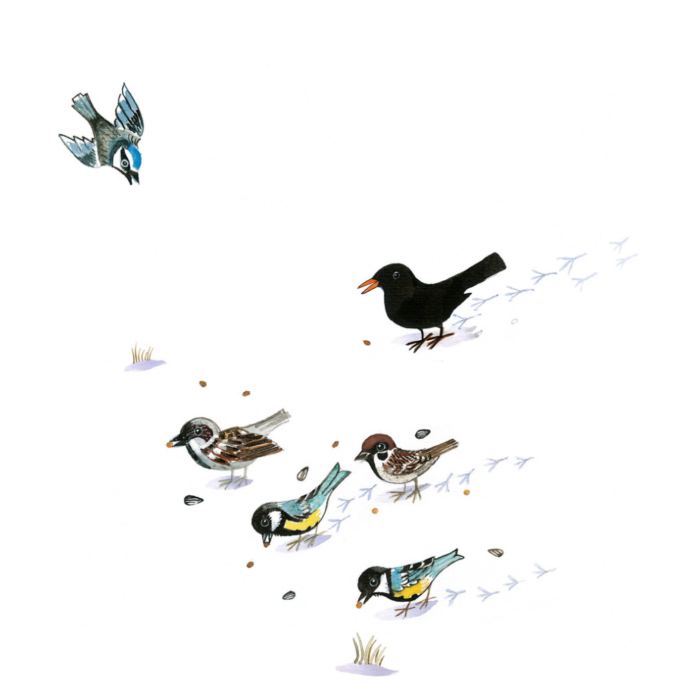 So ist der Winter | Bilderbuch