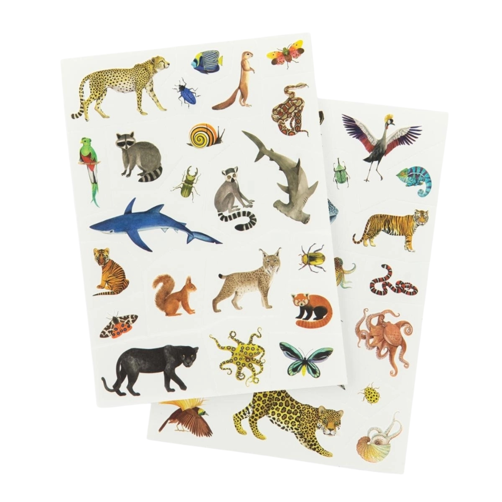 Tattoos Tiere | Tattoos-Set