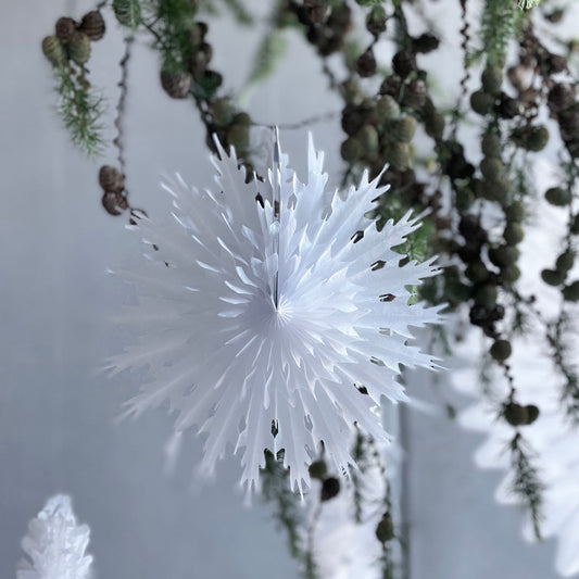 Fold | Papierfächer | Weihnachtsstern