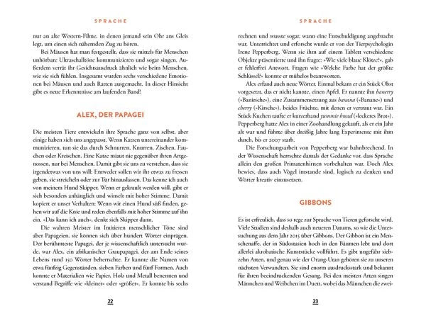 Wie eine verrückte Ameise die Welt verändern kann | Sachbuch