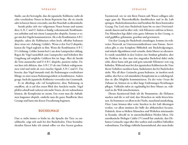 Wie eine verrückte Ameise die Welt verändern kann | Sachbuch