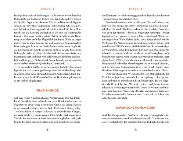 Wie eine verrückte Ameise die Welt verändern kann | Sachbuch