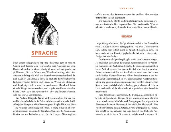 Wie eine verrückte Ameise die Welt verändern kann | Sachbuch