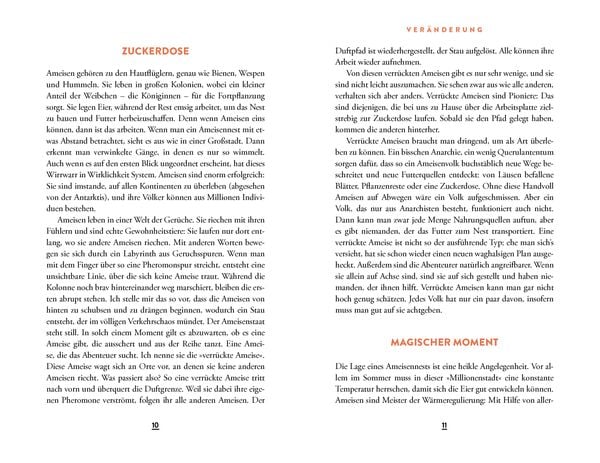 Wie eine verrückte Ameise die Welt verändern kann | Sachbuch