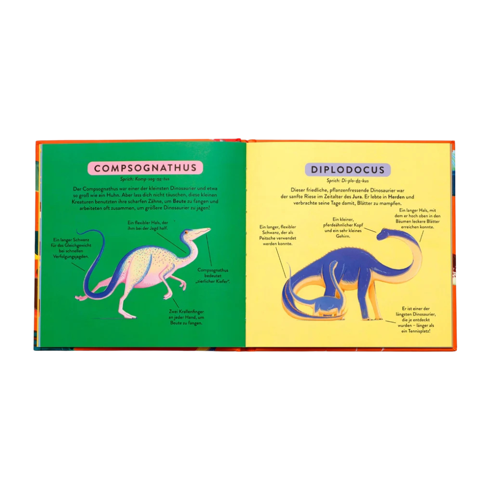Mein Erstes Dino-Buch | Kinderbuch
