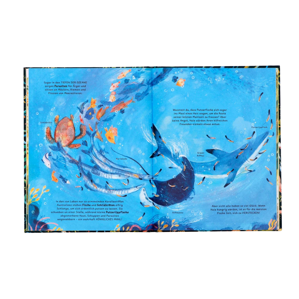 Freunde in der Natur | Kinderbuch