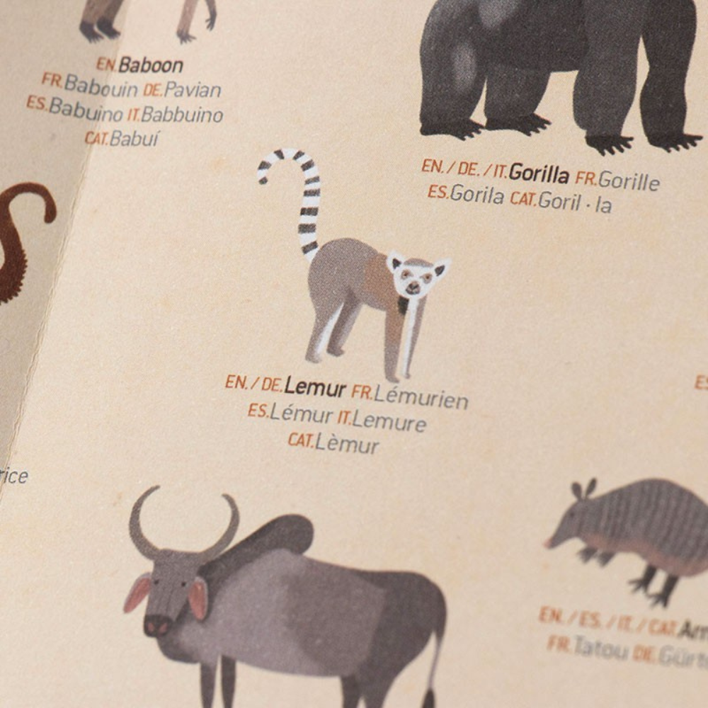 Animal World  | Poster & Stickers | Kreativ-Set
