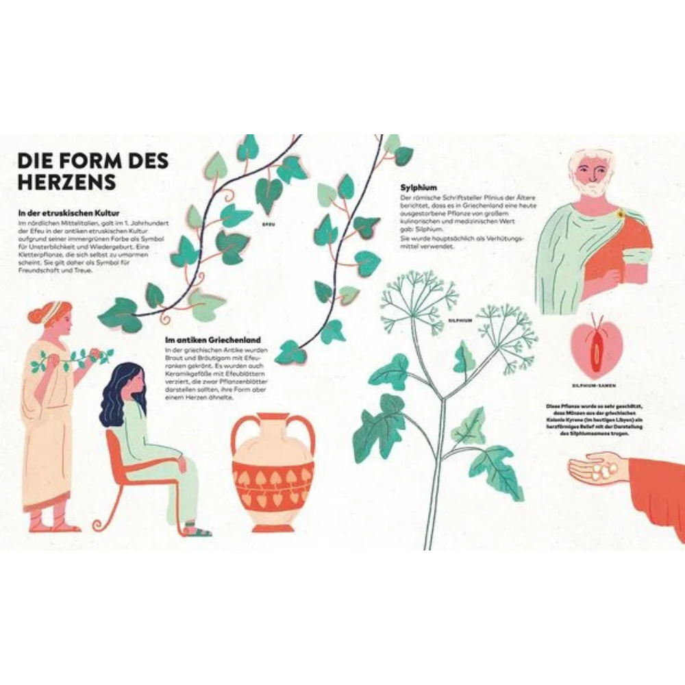 Das Herz | Kinderbuch