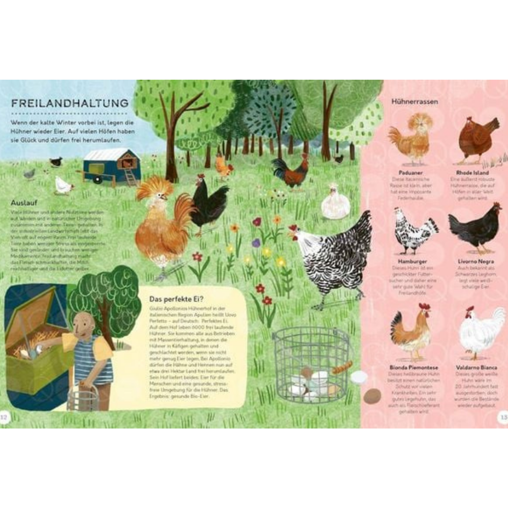 Vom Feld auf den Teller | Kinderbuch