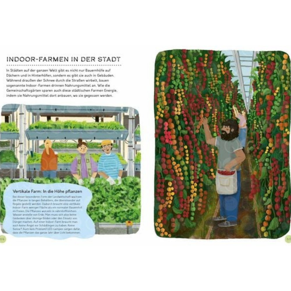 Vom Feld auf den Teller | Kinderbuch