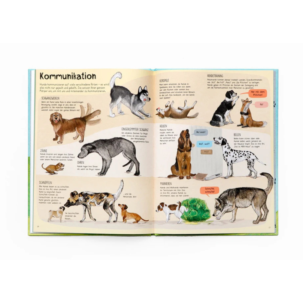 Das Hunde-Buch | Kinderbuch