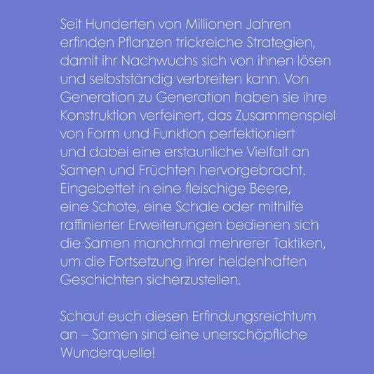Samen | Prestel | Sachbuch