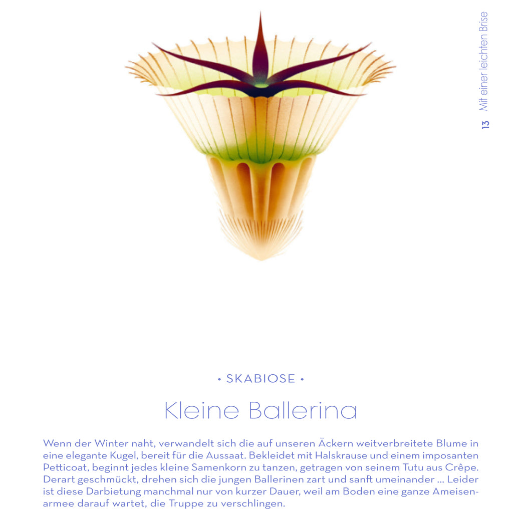 Samen | Prestel | Sachbuch