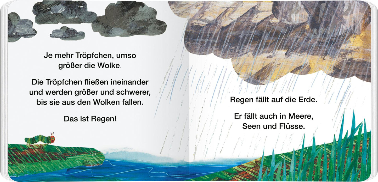 Warum regnet es? | Bilderbuch
