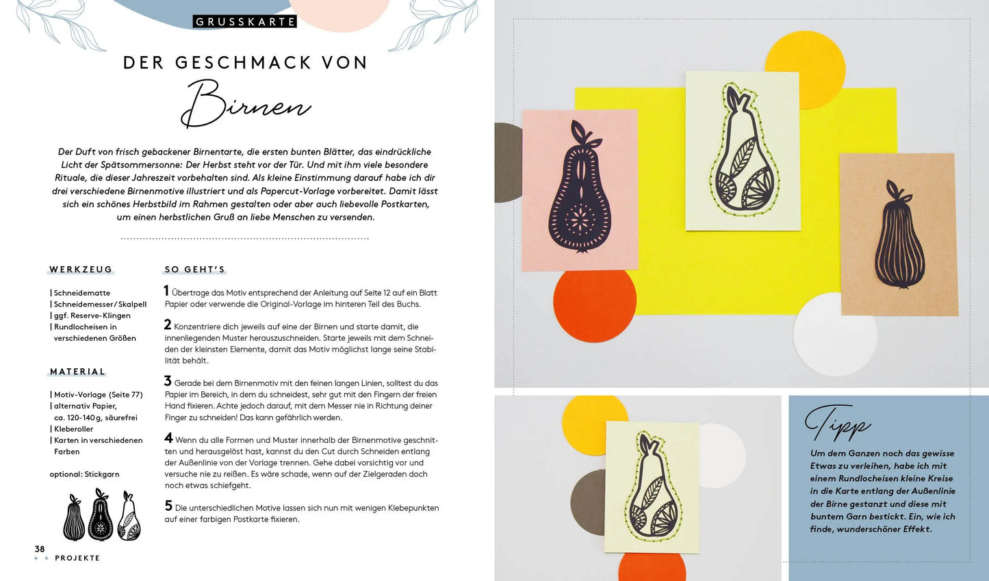 Zauberhaftes Papercut EMF Verlag