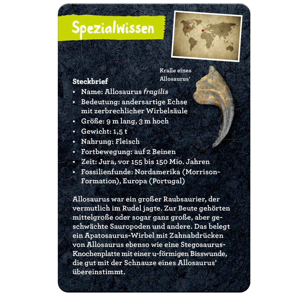 50 Dinosaurier | Coppenrath | Kartenset
