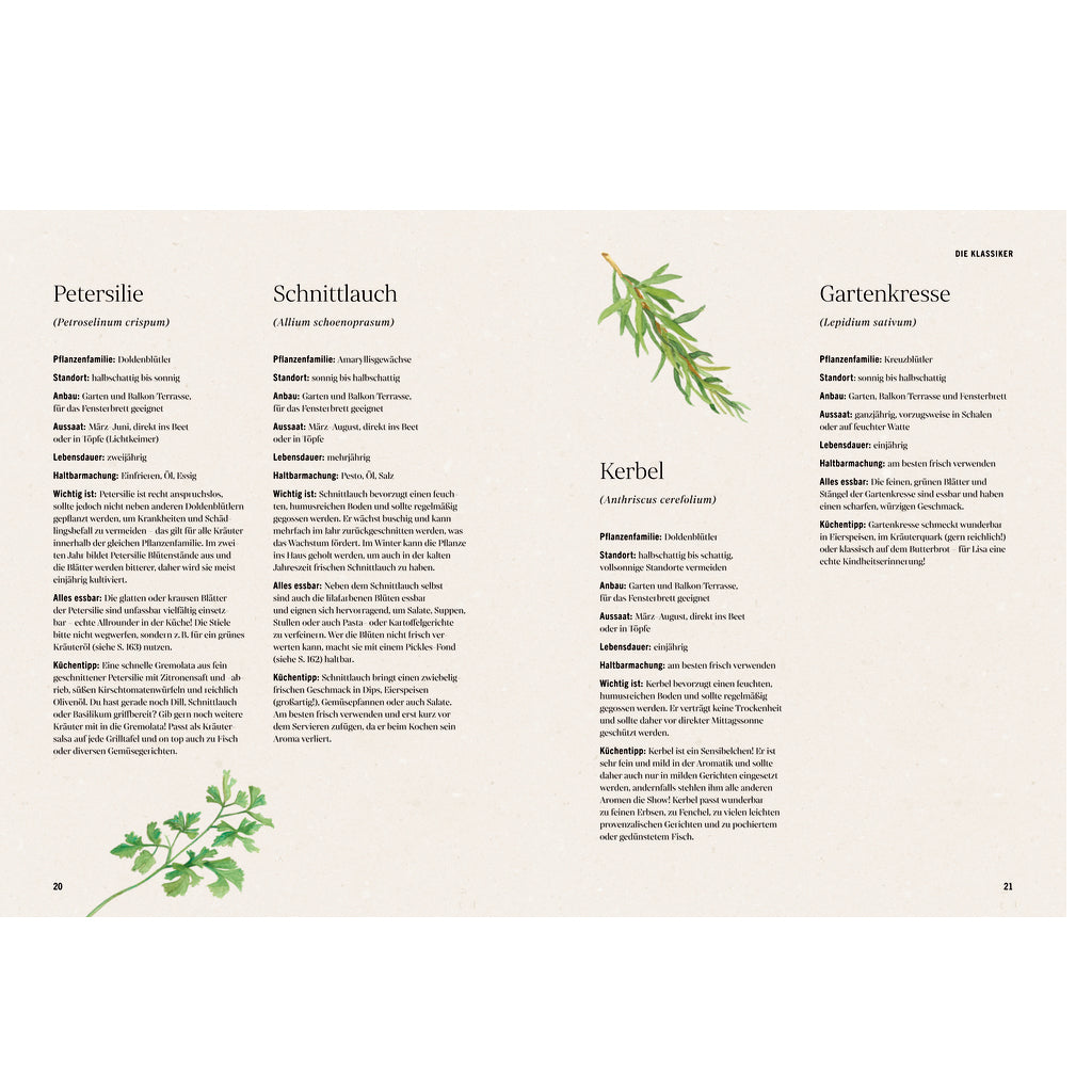 Unsere kreative Kräuterküche | Hölker Verlag | Kochbuch