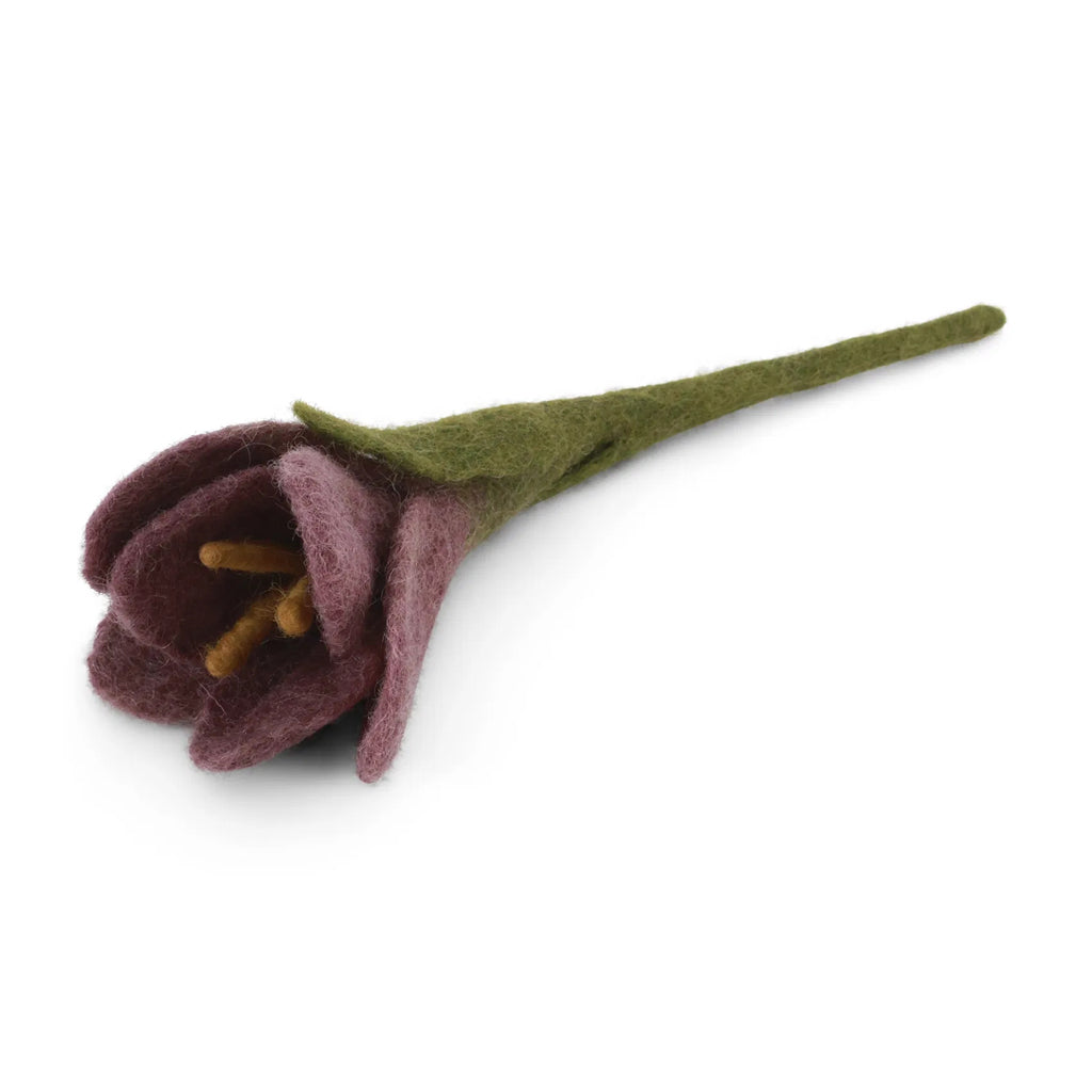 Crocus | Filzblume | 2 Varianten