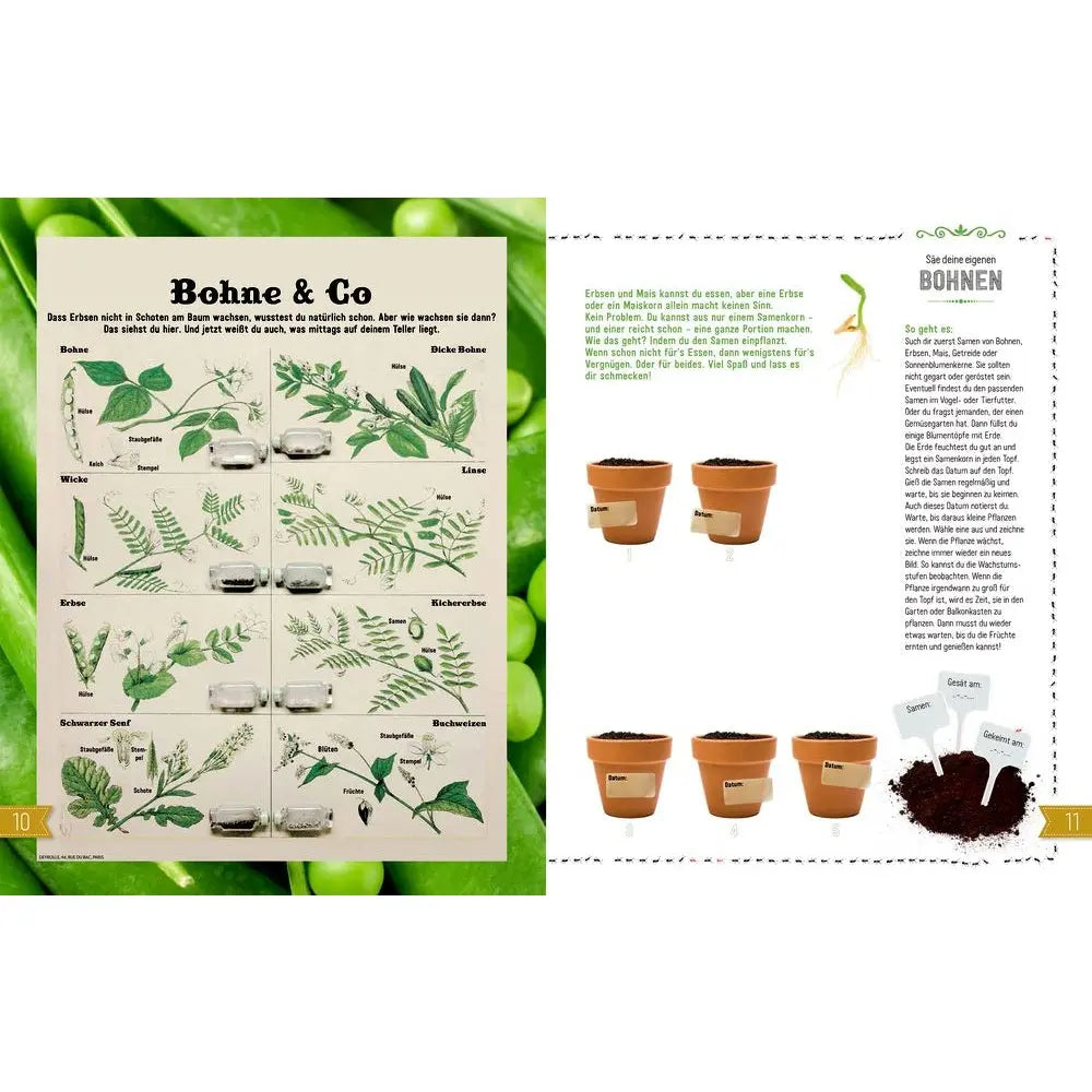 Natur - Entdecken - Verstehen - Mitmachen - Feder&Konfetti Store