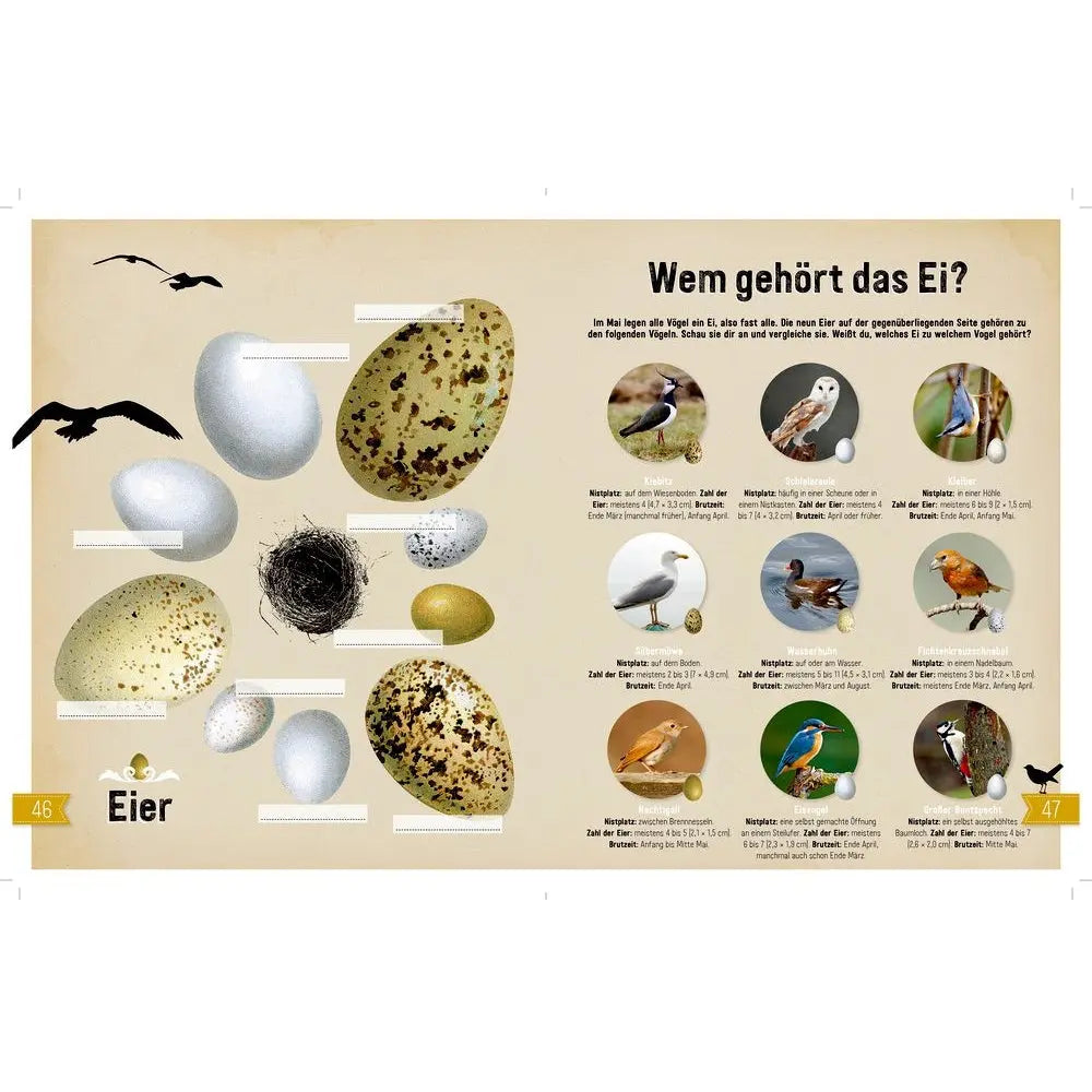 Natur - Entdecken - Verstehen - Mitmachen - Feder&Konfetti Store
