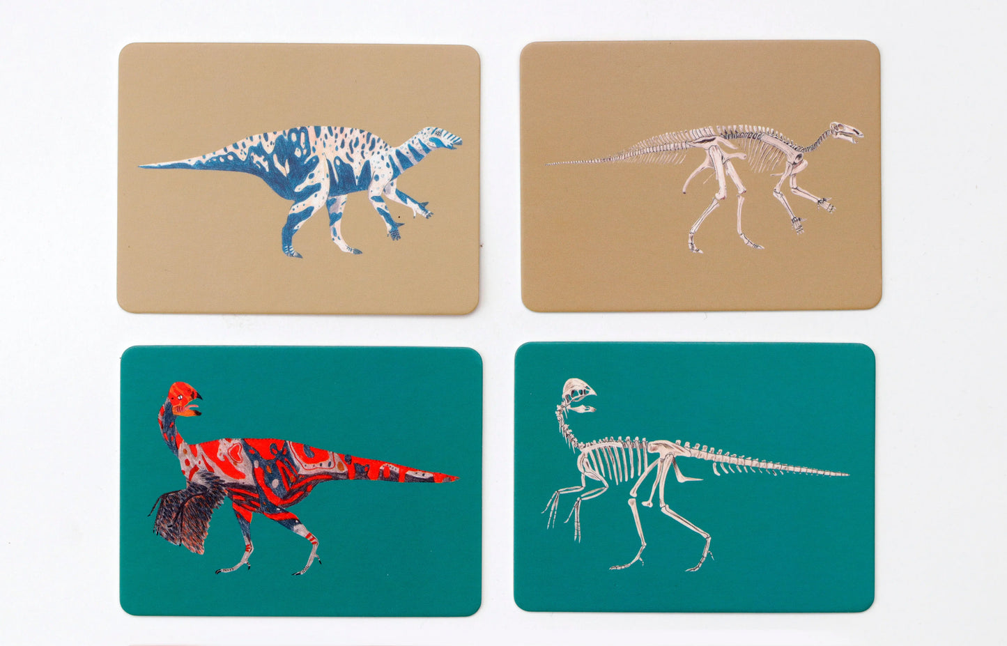 Dinos und ihre Knochen - Feder&Konfetti Store