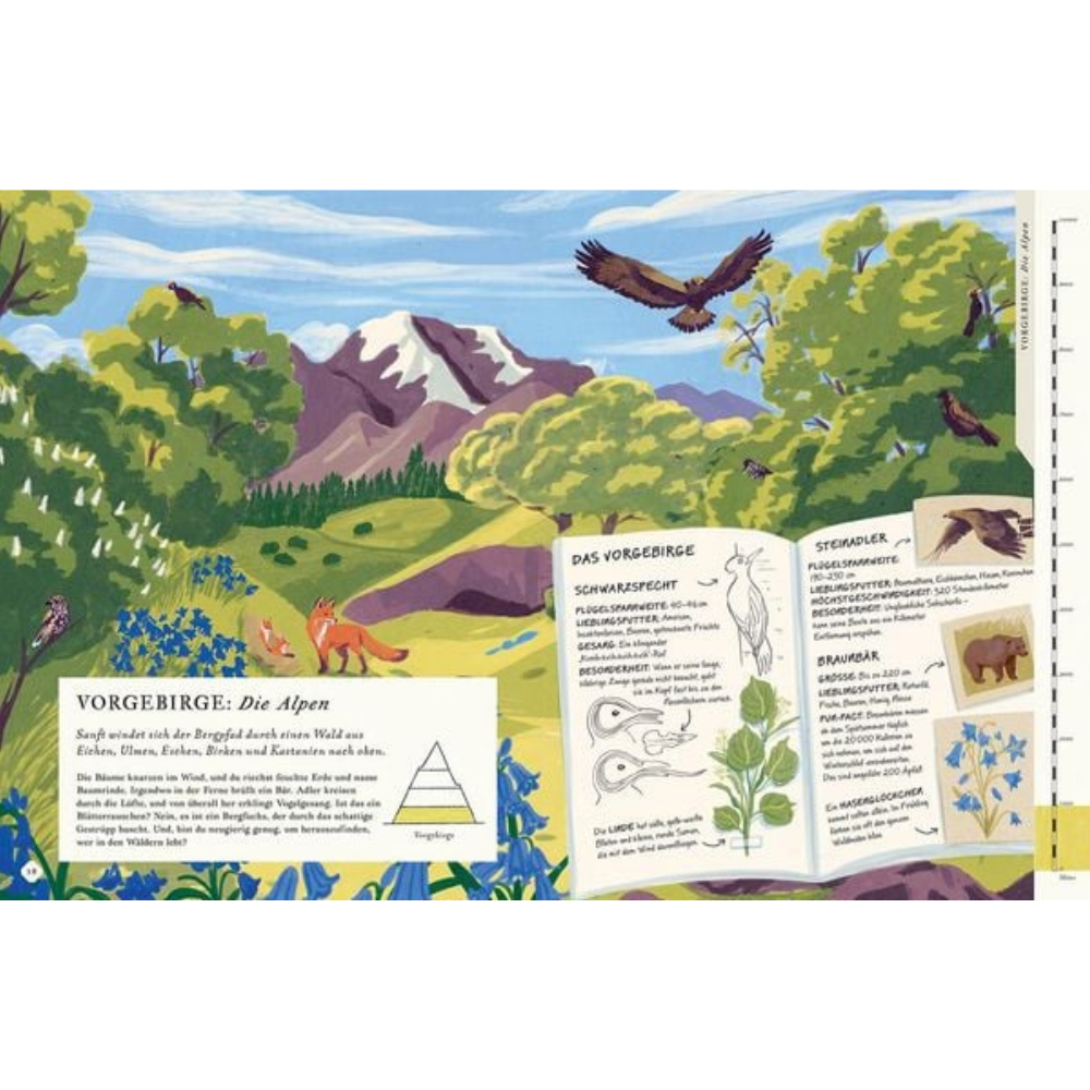 Besteige den Berg in diesem Buch | Knesebeck | Kinderbuch