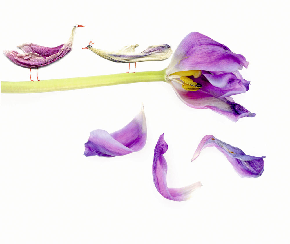 Floras Atelier | Bilderbuch