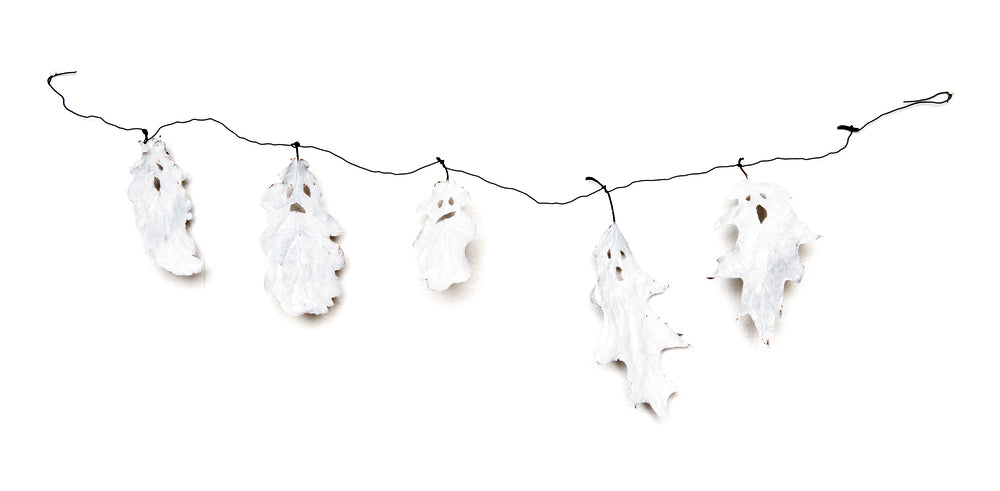 Floras Atelier | Bilderbuch