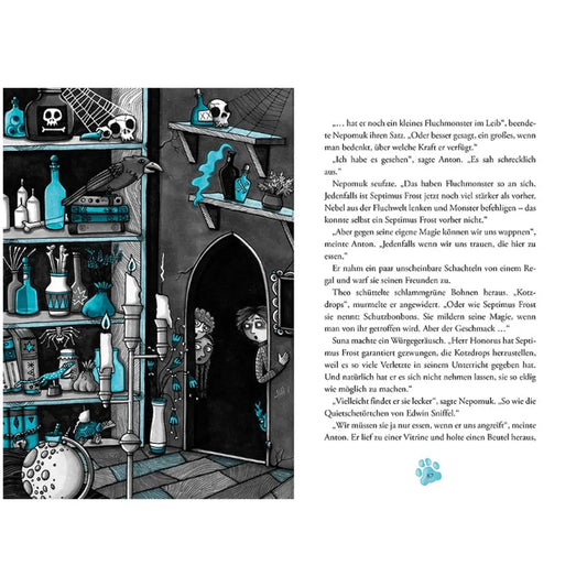 Anton Monsterjäger - Das Portal der Flüche Magellan Verlag