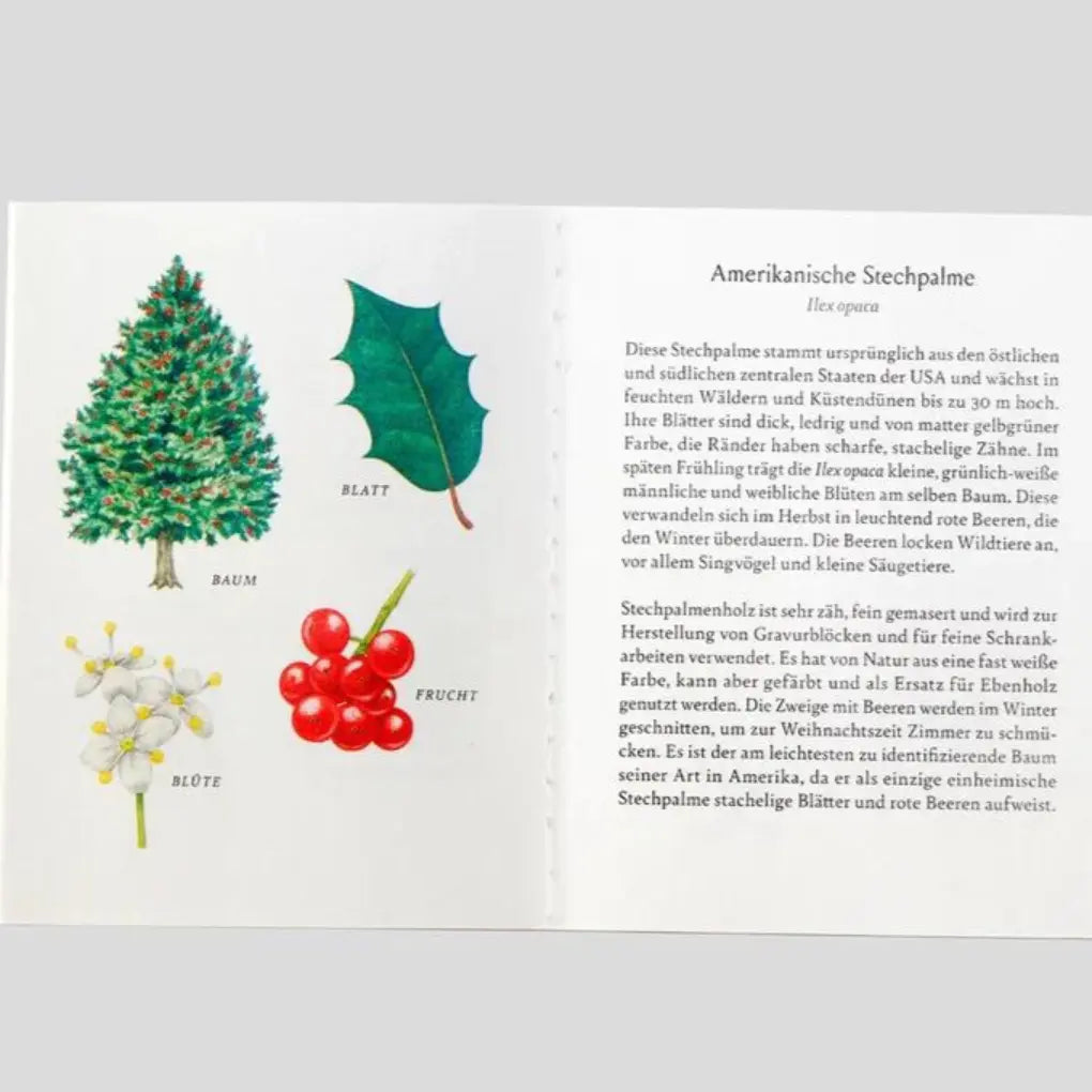 Baum-Familien Laurence King Verlag