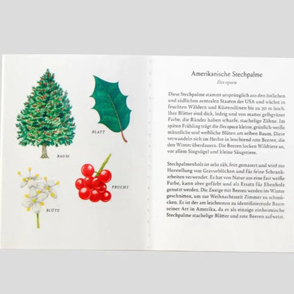 Baum-Familien Laurence King Verlag