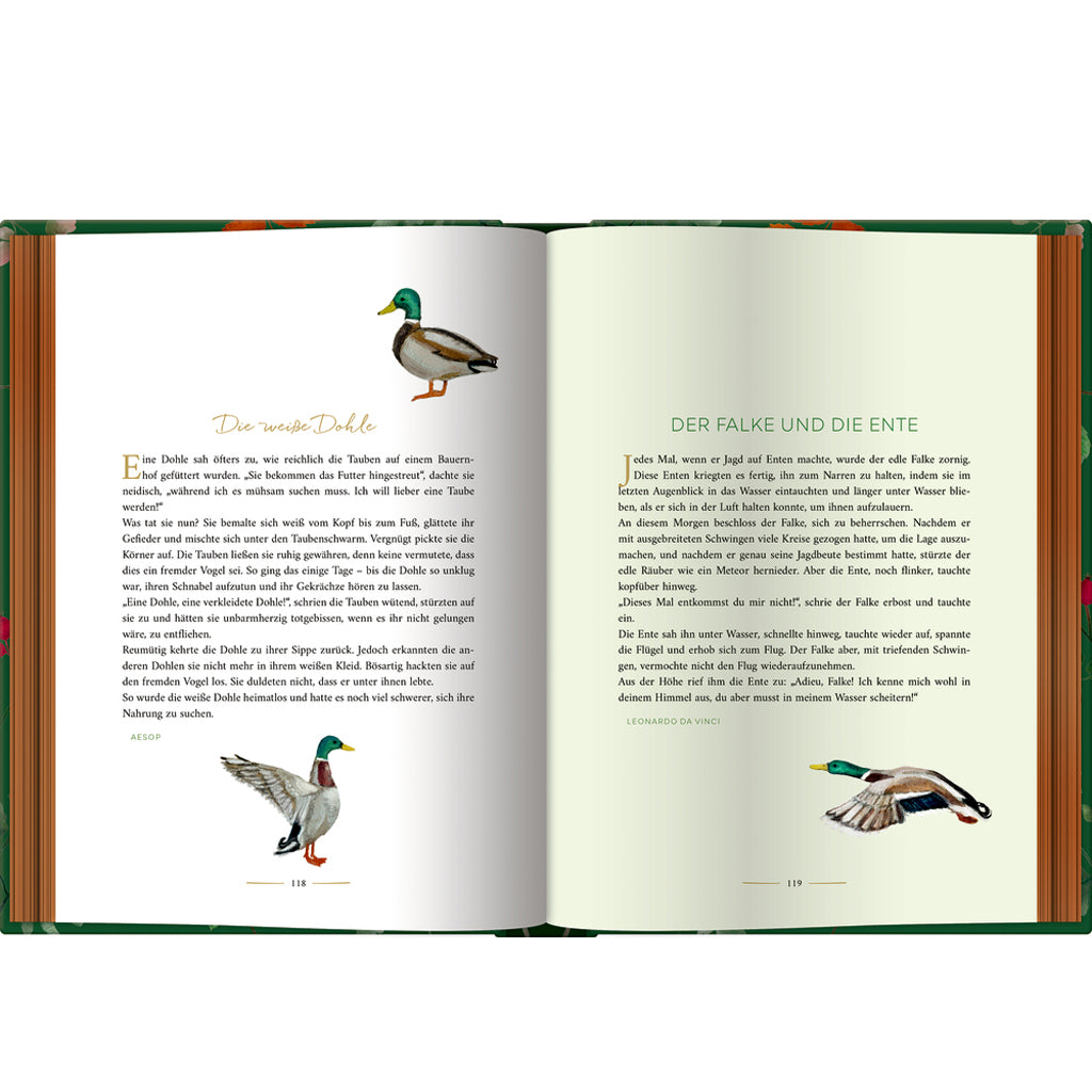 Der große Fabelschatz | Coppenrath | Buch