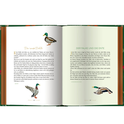 Der große Fabelschatz | Coppenrath | Buch
