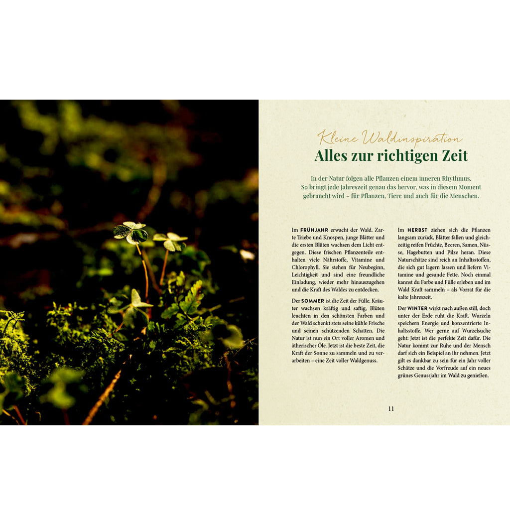 Waldgenuss für dich | Hölker | Kochbuch