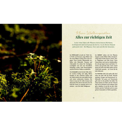 Waldgenuss für dich | Hölker | Kochbuch