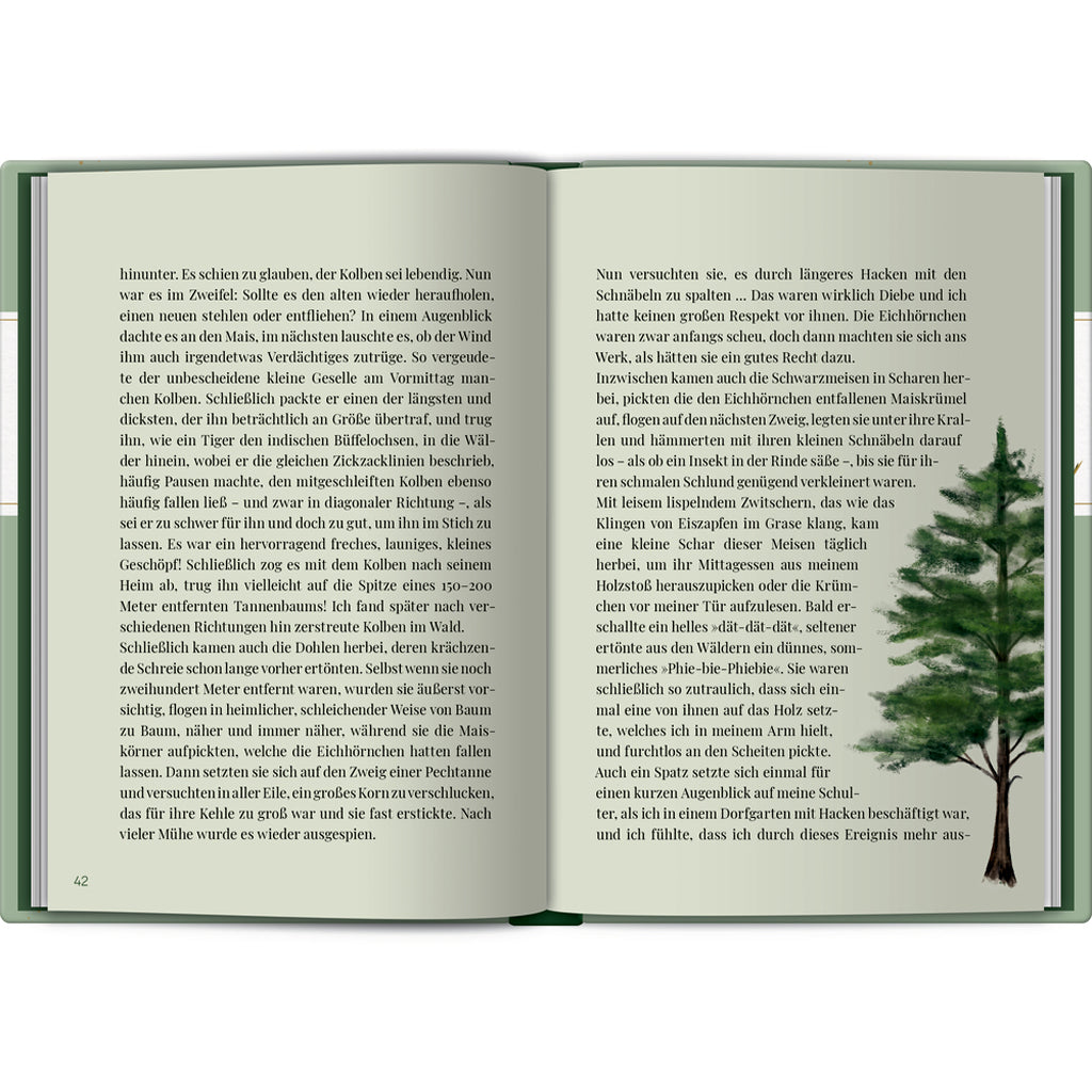 Zeit zum Durchatmen | Coppenrath | Geschenkbuch