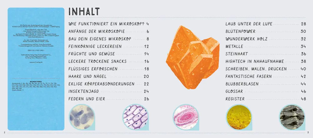 Das XXL Entdecker-Set - Mikroskop - Feder&Konfetti