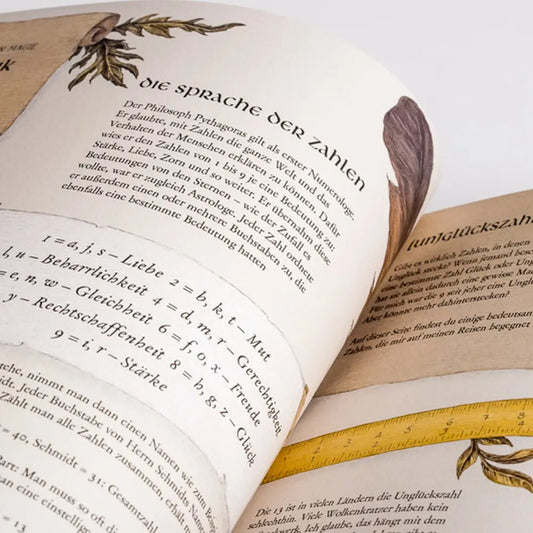 Das große Handbuch der magischen Künste - Feder&Konfetti