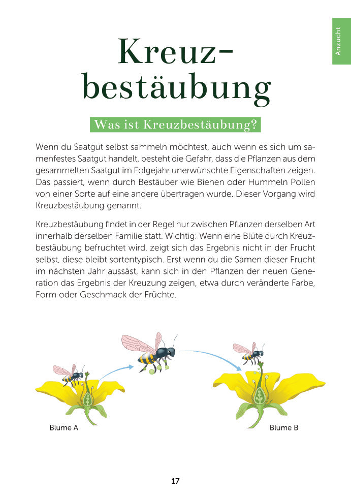 Das Gemüsegarten 1 x 1 | EMF | Ratgeber