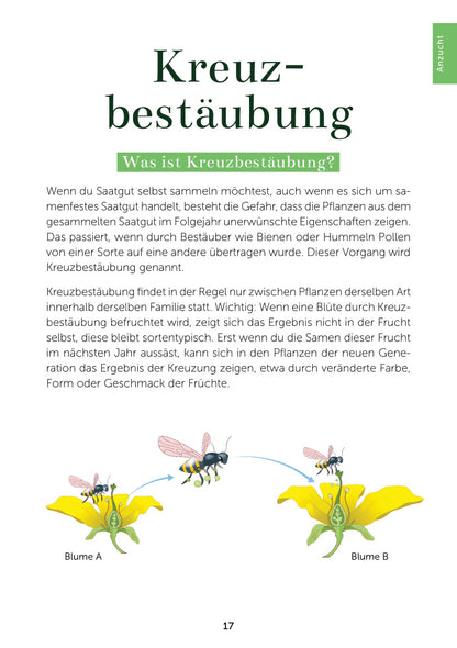 Das Gemüsegarten 1 x 1 | EMF | Ratgeber