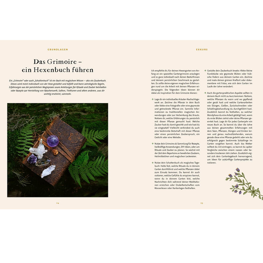 Magie im Hexengarten | EMF | Ratgeber