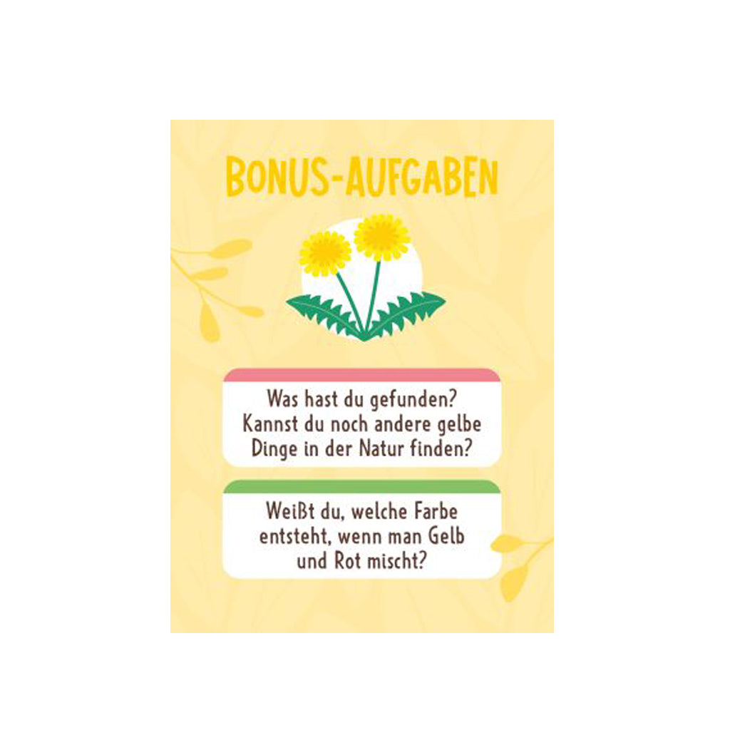 Suchen Finden Staunen | EMF | Kartenspiel