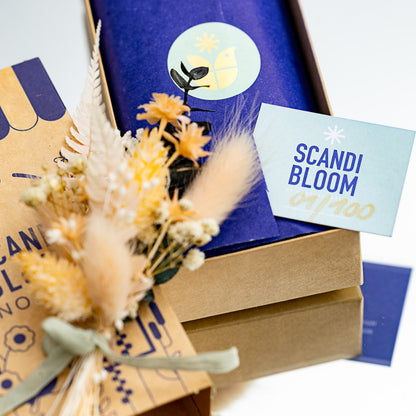 Scandi Bloom Box | Nordic | Trockenblumenstrauß | Limited Edition | 5 Varianten