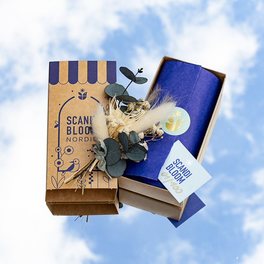 Scandi Bloom Box | Nordic | Trockenblumenstrauß | Limited Edition | 5 Varianten