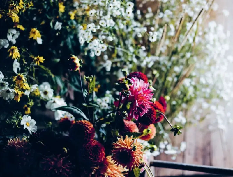 Grow & Gather: Ein Jahr in meinem Schnittblumen-Garten - Feder&Konfetti